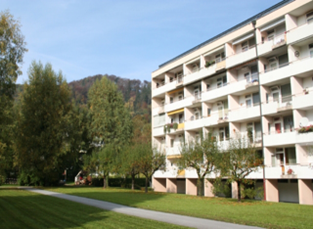 PARK LANDSCAPE