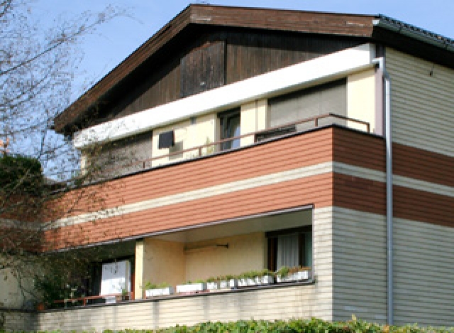 A VIEW OF THE MOUNTAIN