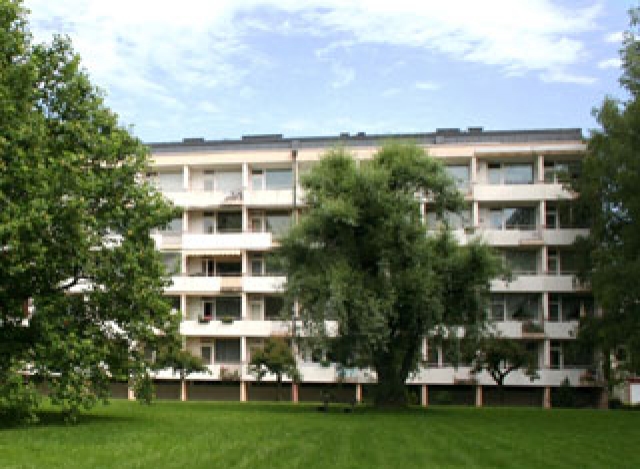 A GREEN PARADISE