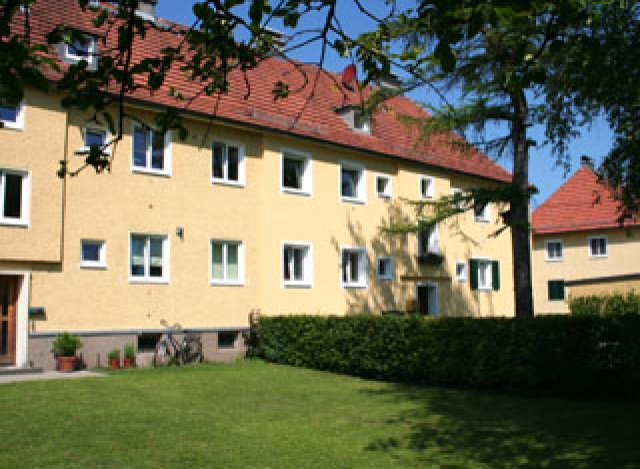„Wurzeln und Flügel“