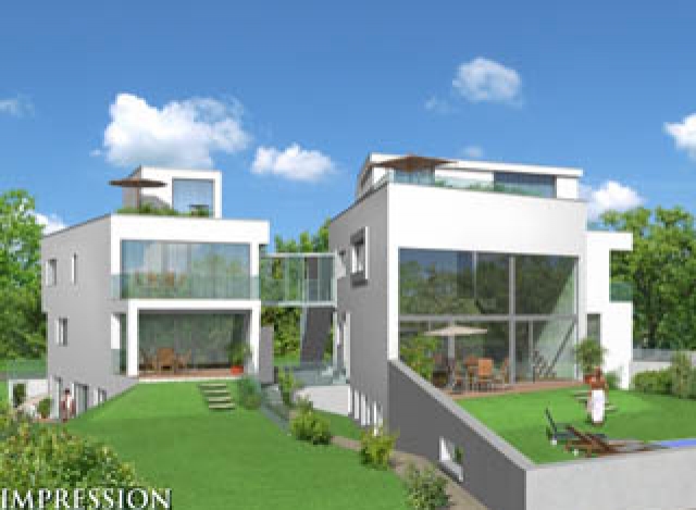 ROOM FOR IDEAS. “ROOF GARDEN”.