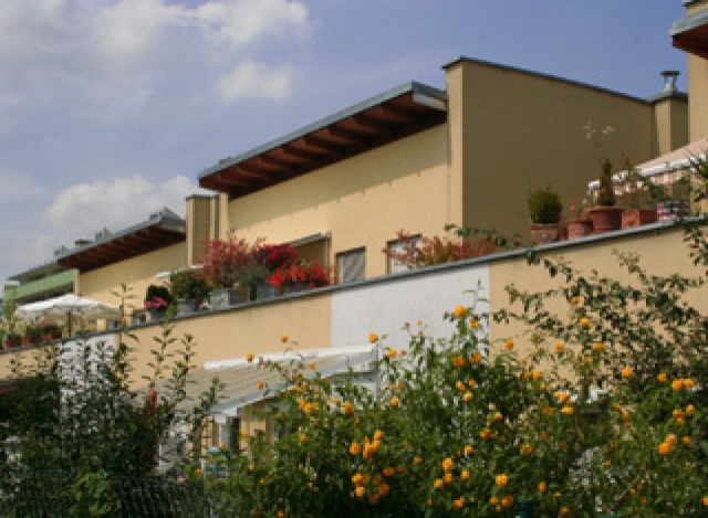 Not Without My terrace!