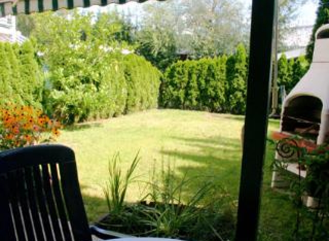 The Green Corner