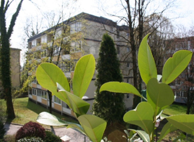 Living in a Park Setting