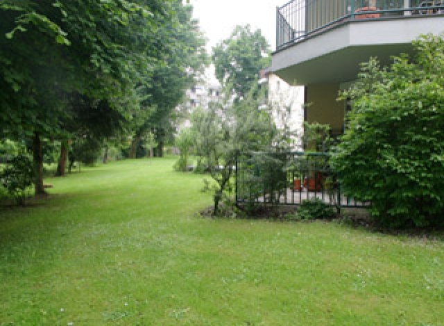 Park Ambiance