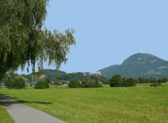 Countryside Meets City