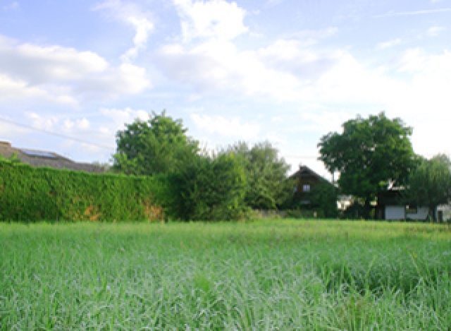 Countryside