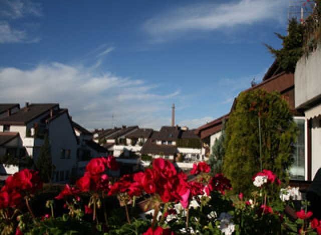 Garden included