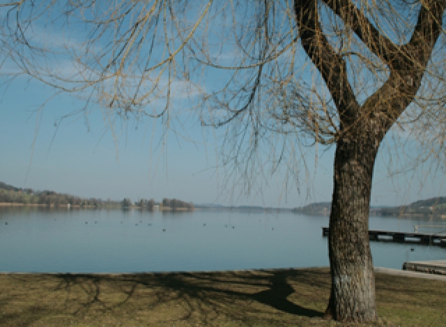 Lake Location