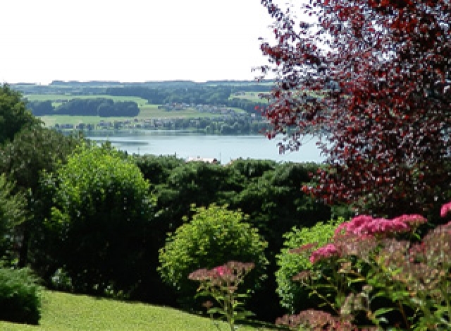 Idyll with Lake View