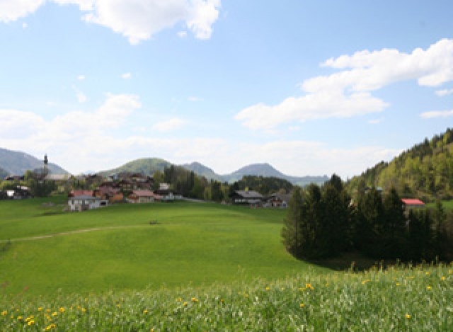 Favourite Panorama in Green