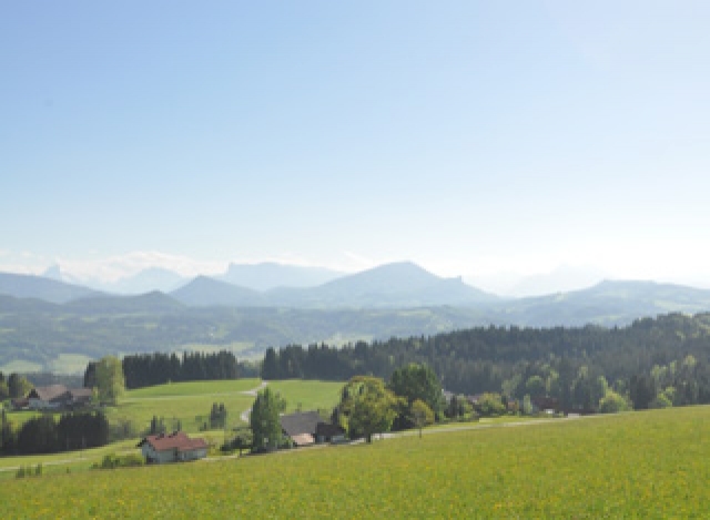 Picture Perfect Panorama