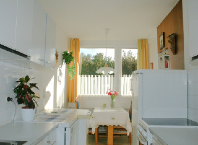 Homely Haven