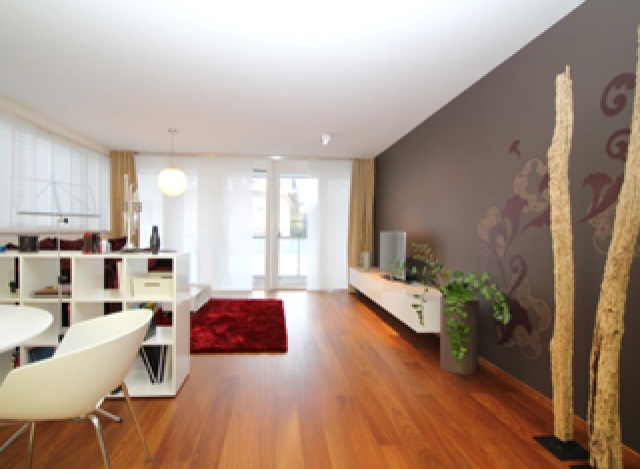 The Design Experience