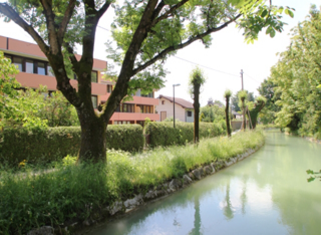 Quality Time on the Almkanal