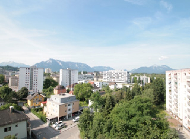 Investor’s Delight
