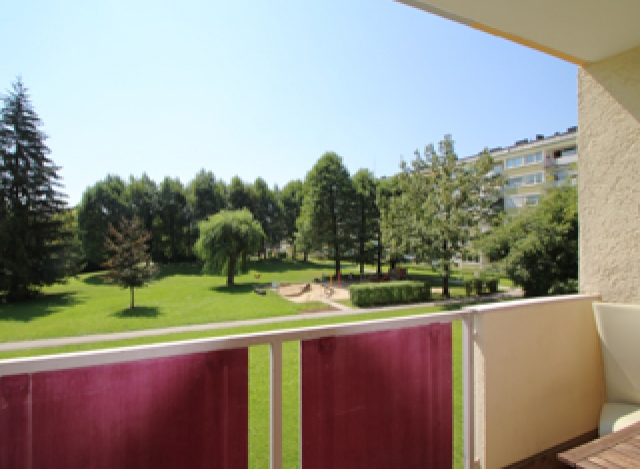 Park Siesta
