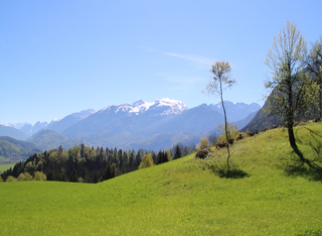 Mountain Spectacle