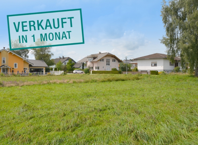 Ready – Steady – Seekirchen!